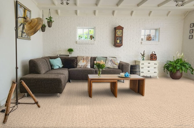 casual living area with textured carpet